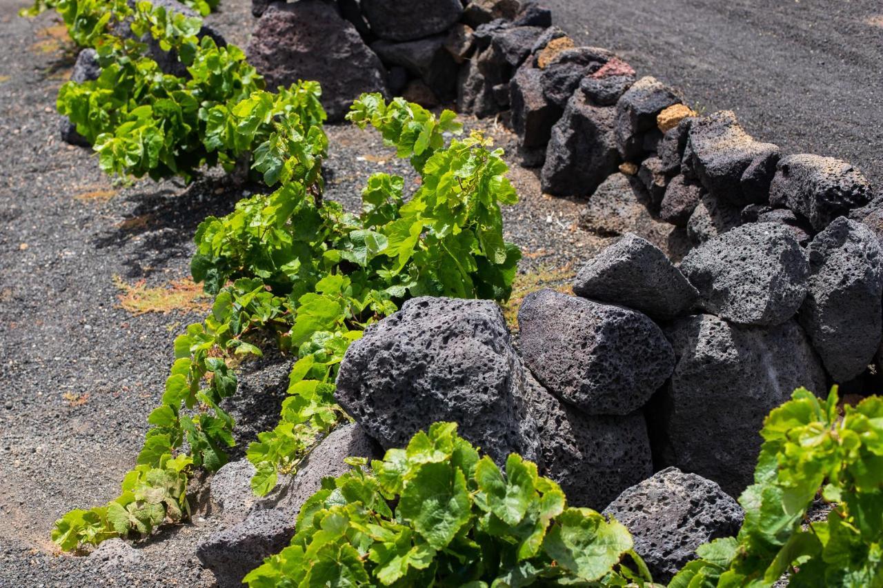 Eco Dome Experience Hotel Teguise  Exterior foto